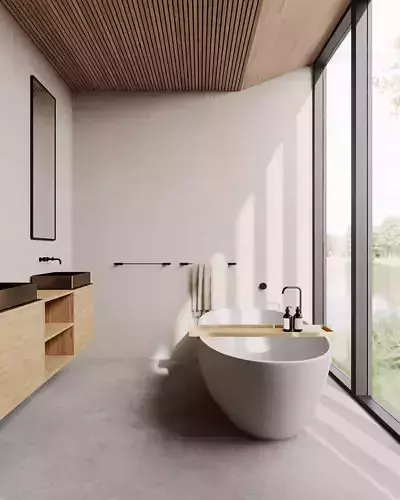 bathroom interior scenes