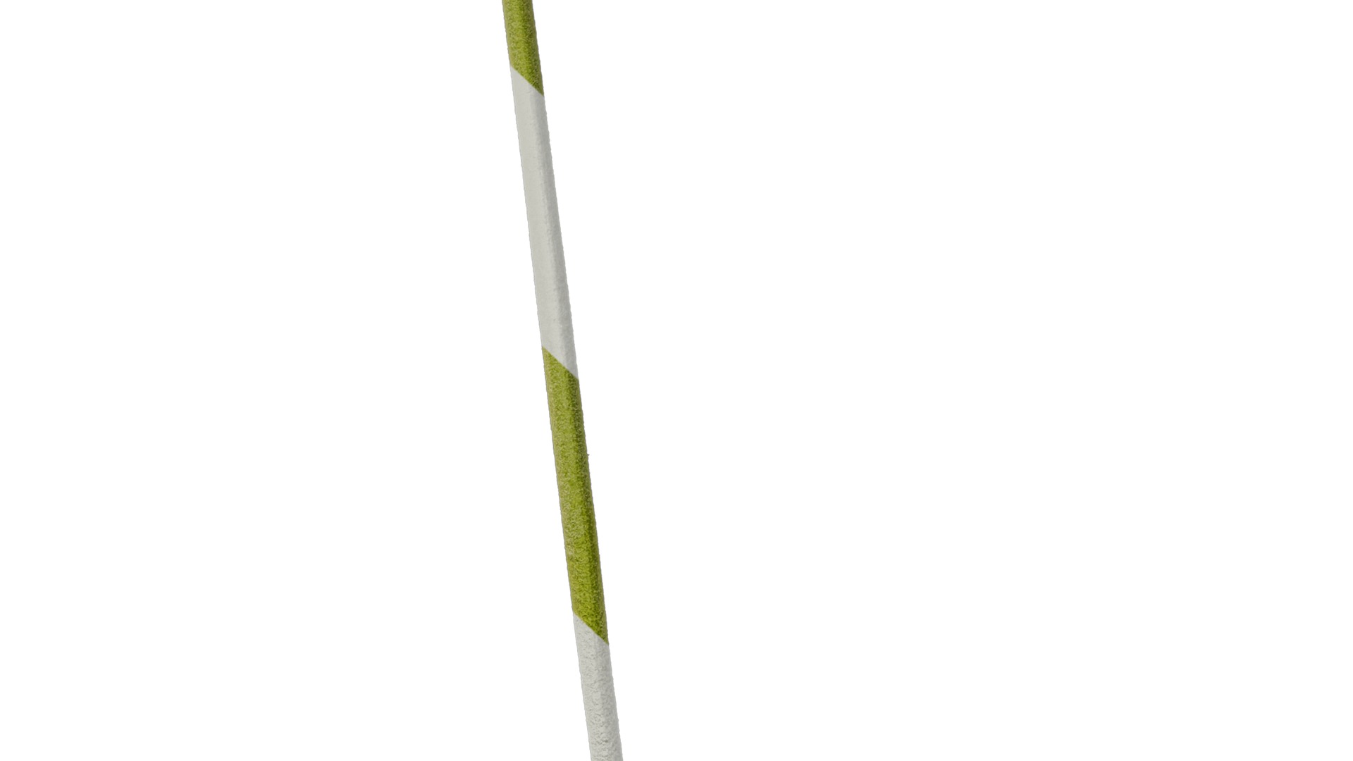 Anydrafts Gerbera jamesonii Atlas 01 Texture_7