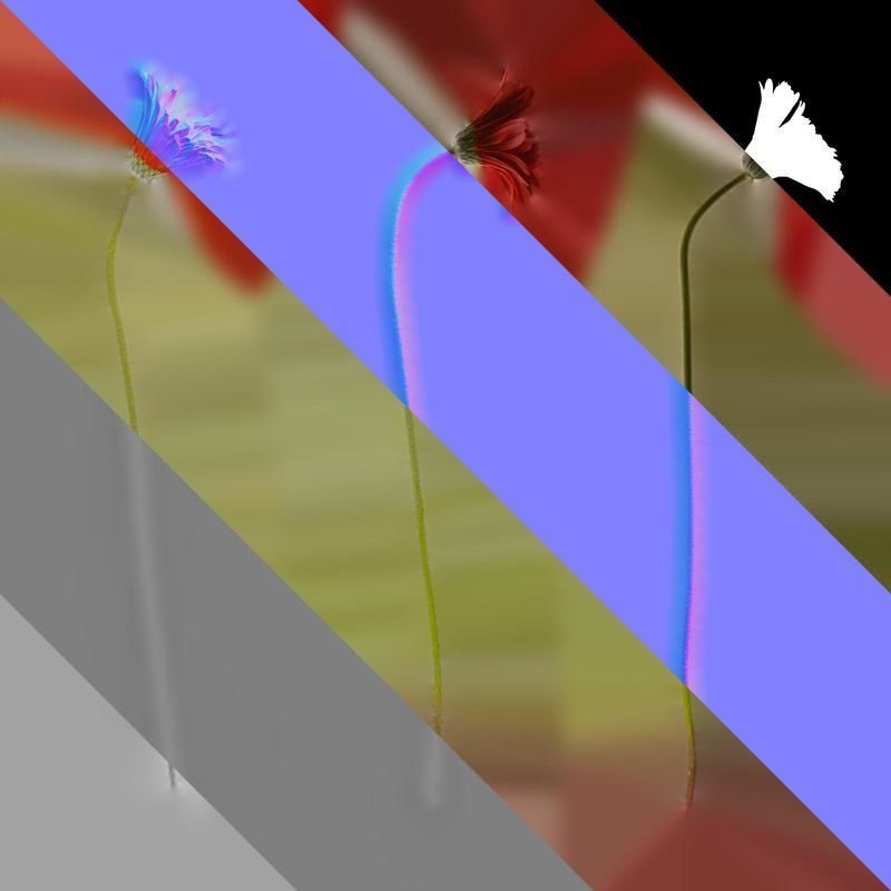 Anydrafts Gerbera jamesonii Atlas 01 Texture_8