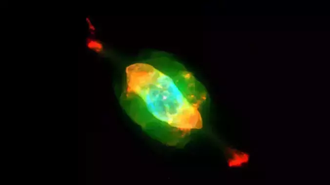 Saturn Nebula