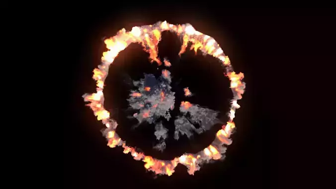 Explosion Ring 01 VDB Sequence 3D model