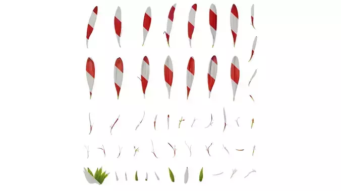 Anydrafts Gerbera jamesonii Flower 04 Texture Anydrafts Gerbera jamesonii Flower 04 Texture