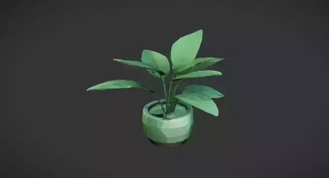 Stylized Indoor plant