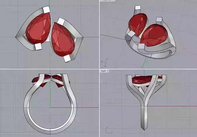 Two stone ring 3D print model