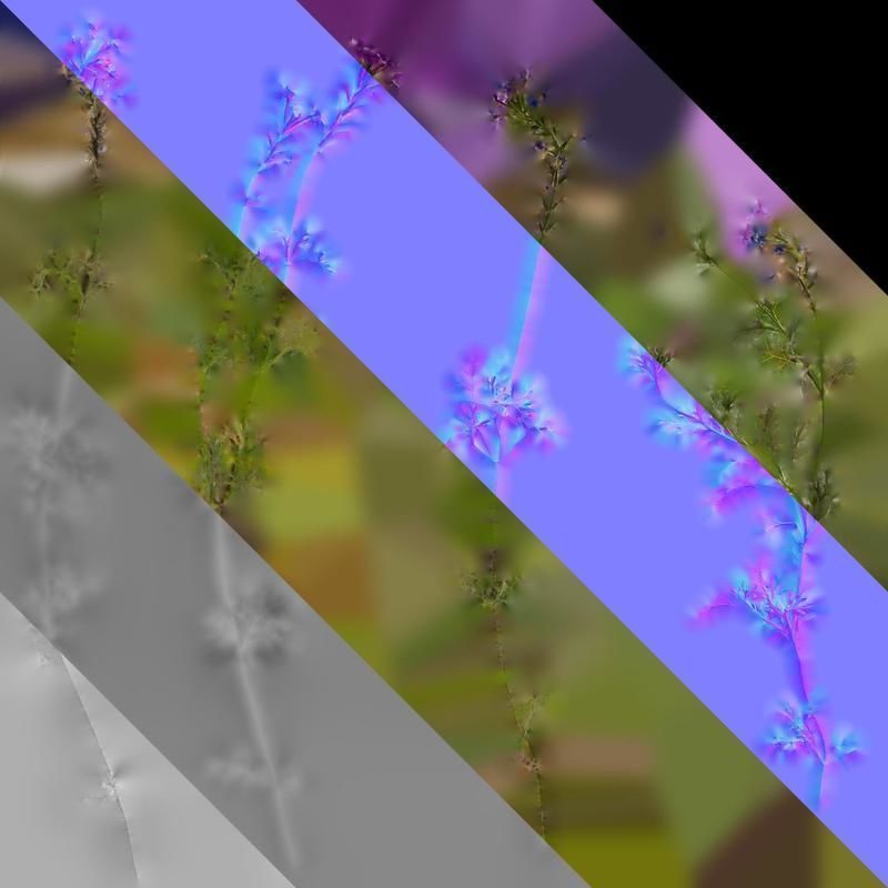 Anydrafts Glandularia tenera Atlas 10 Texture_8