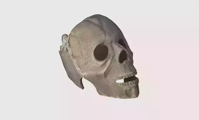 Skull Head HP