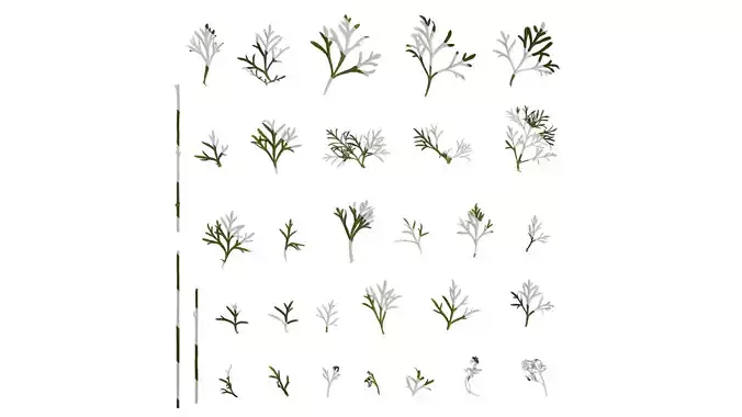 Anydrafts Glandularia tenera Leaf 01