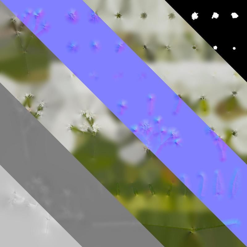 Anydrafts Gypsophila paniculata Atlas 03 Texture_8