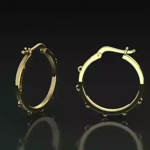 Earrings N011263