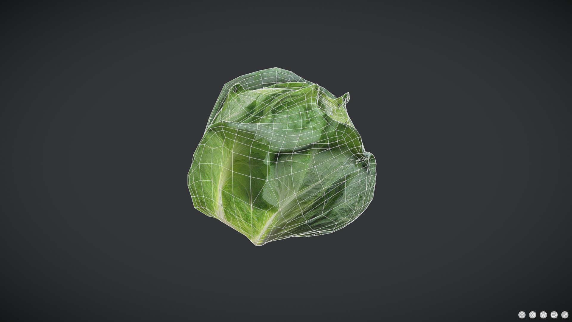 Cabbage Low-poly 3D model_4