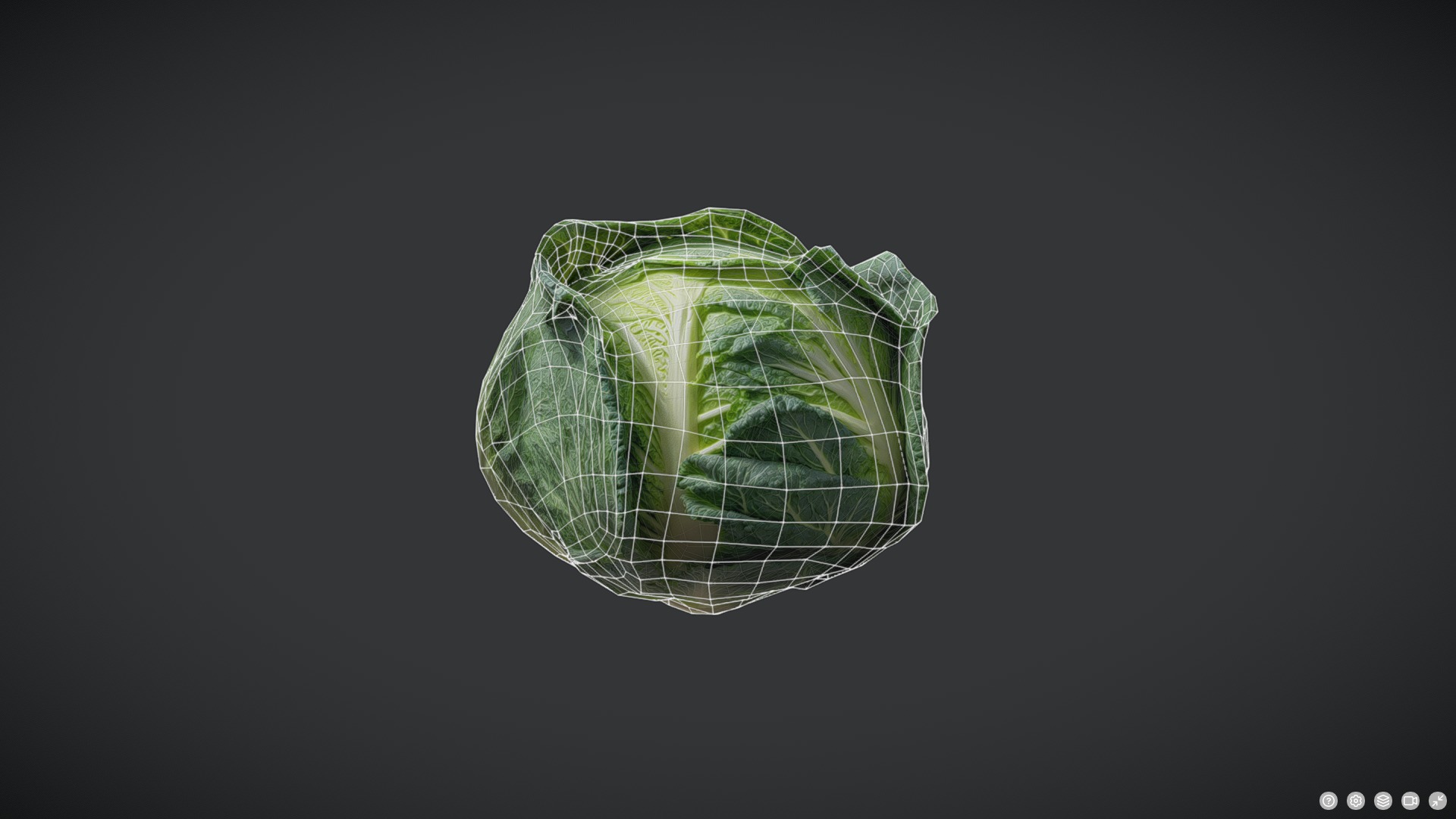 Cabbage Low-poly 3D model_6