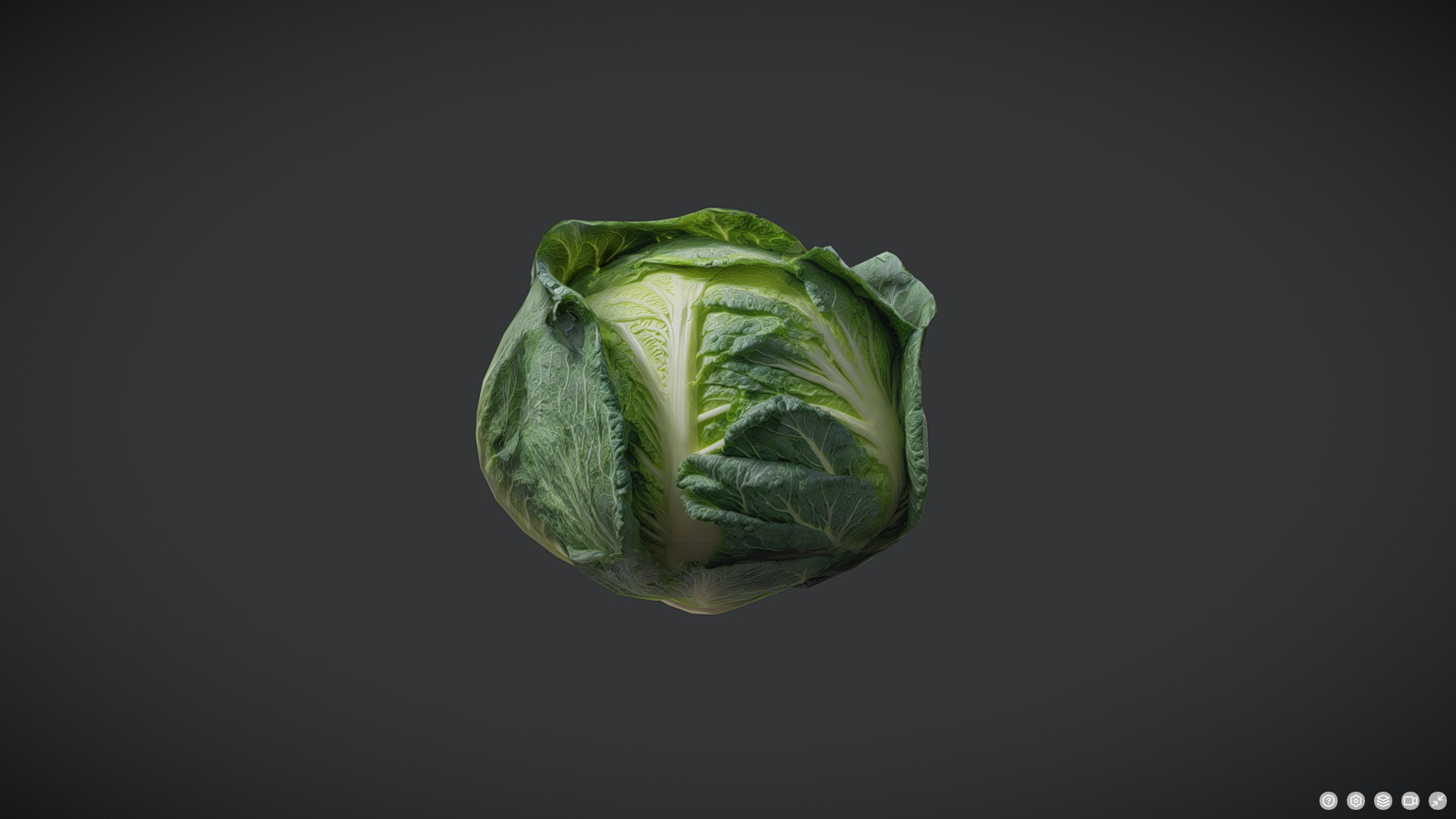 Cabbage Low-poly 3D model_5