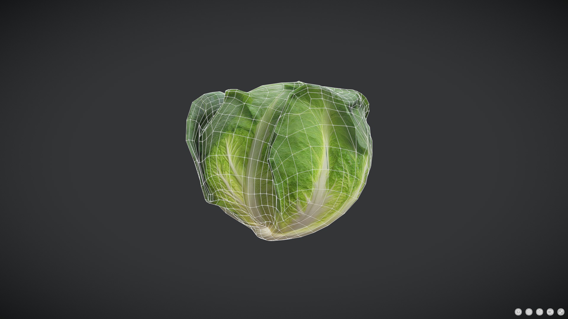 Cabbage Low-poly 3D model_2