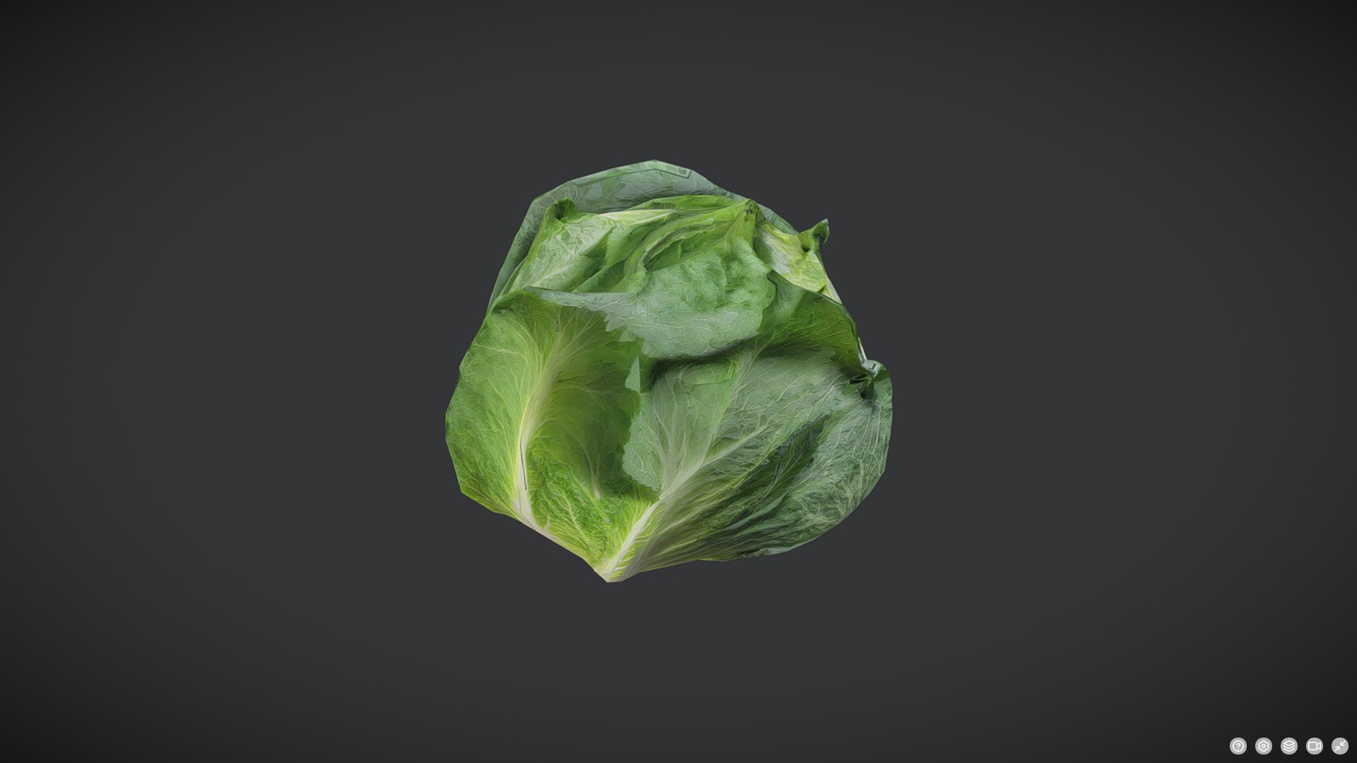 Cabbage Low-poly 3D model_3