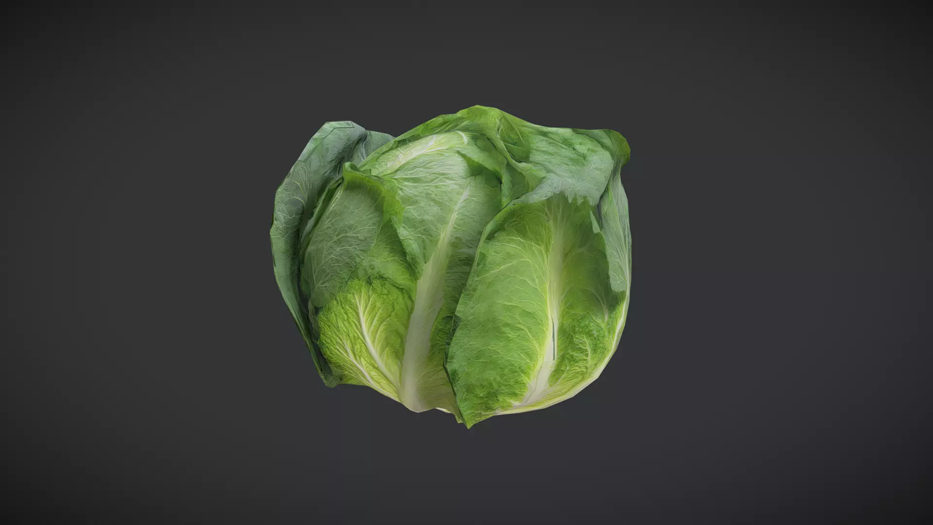 Cabbage Low-poly 3D model_0