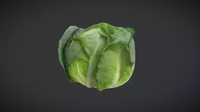 Cabbage