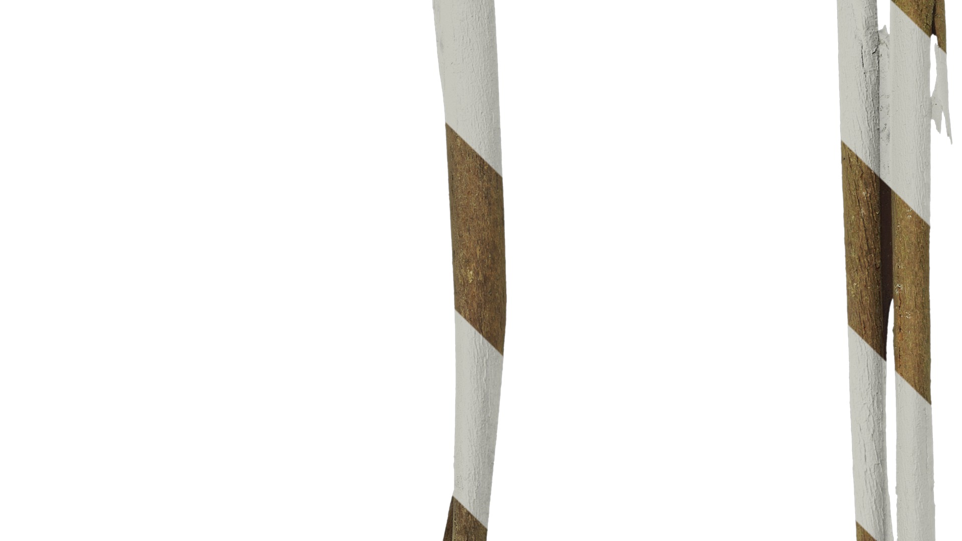 Anydrafts Eucalyptus saligna Bark 04 Texture_3