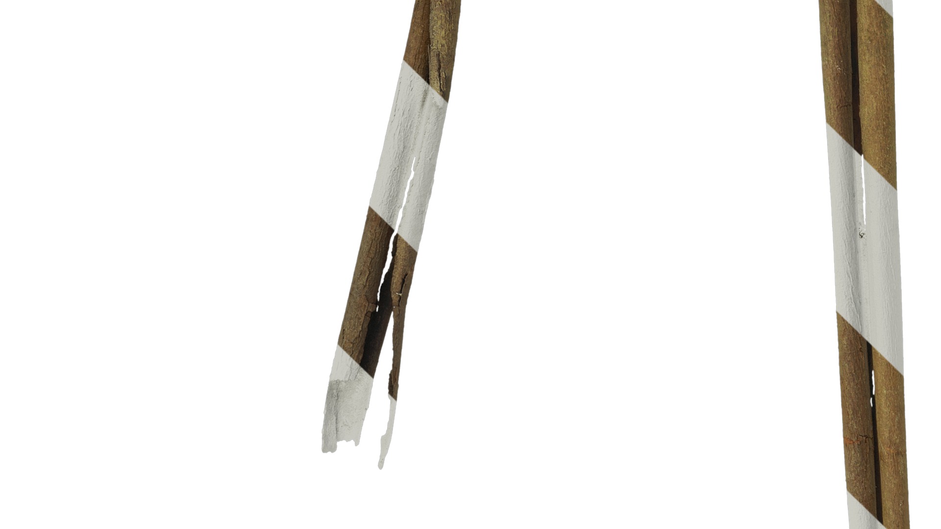 Anydrafts Eucalyptus saligna Bark 04 Texture_5