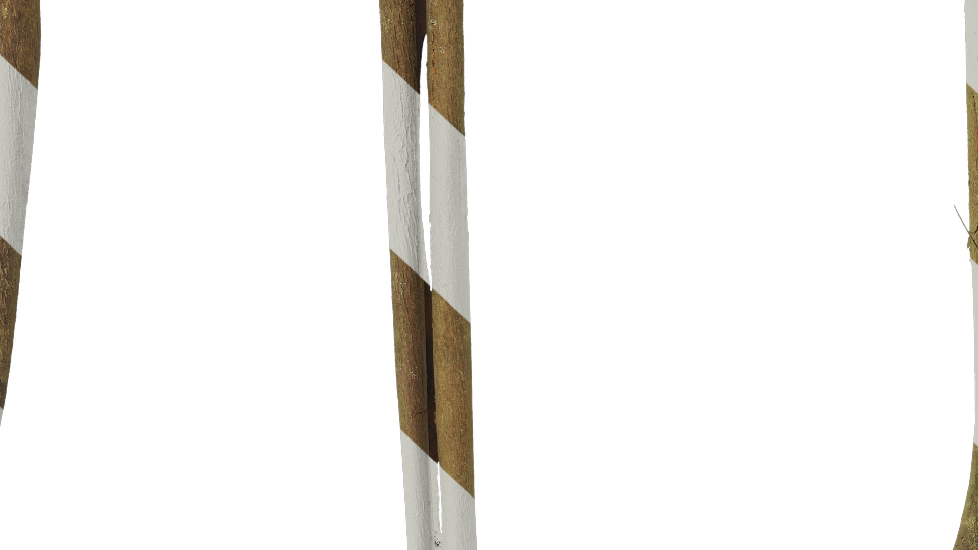 Anydrafts Eucalyptus saligna Bark 04 Texture_7