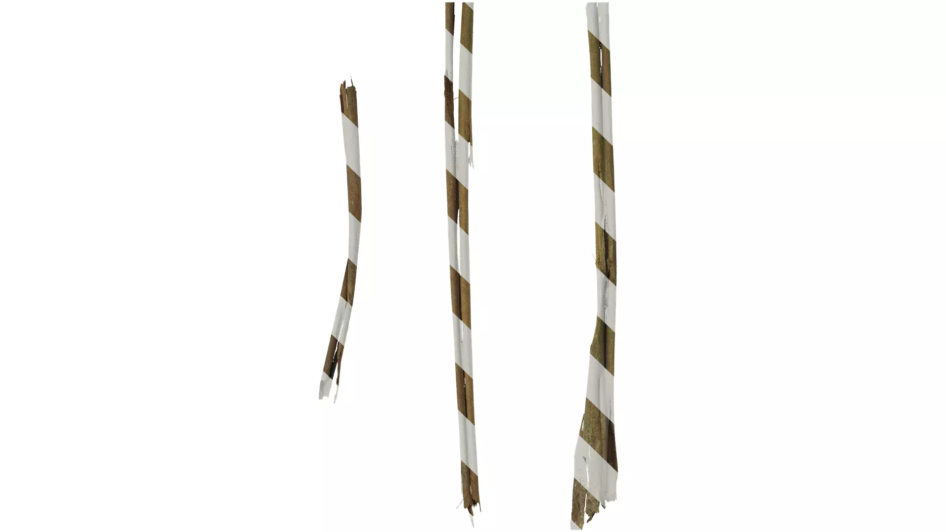 Anydrafts Eucalyptus saligna Bark 04 Texture_0