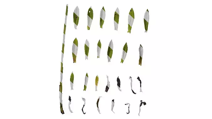 Anydrafts Helenium autumnale mariachi Leaf 01