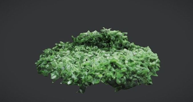 stylized bush 3D model