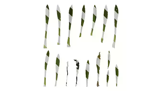 Anydrafts Helenium autumnale mariachi Leaf 02