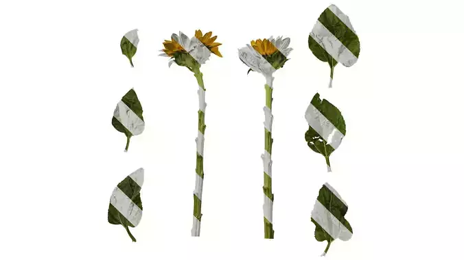 Anydrafts Helianthus annuus Atlas 14