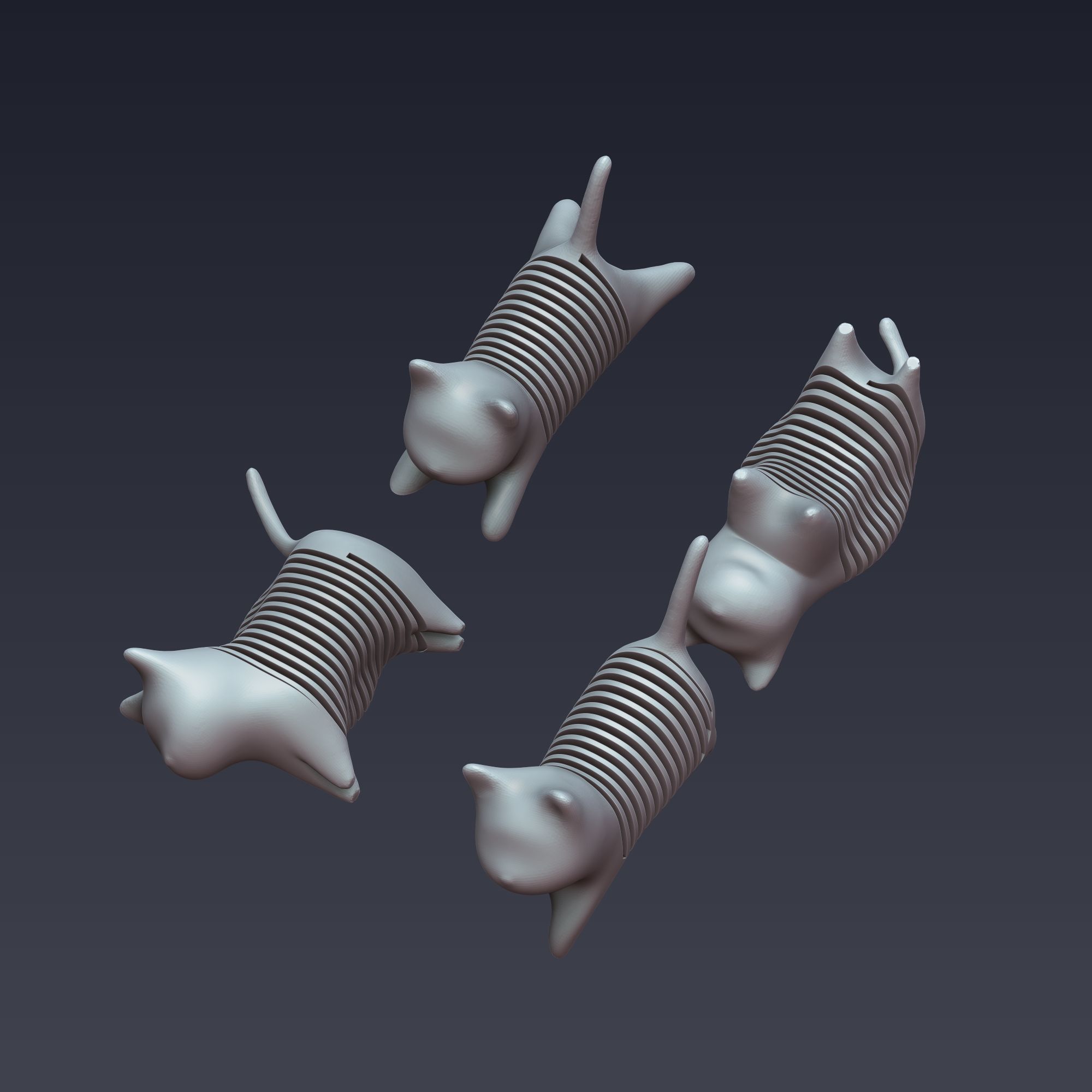 Spring Cat 3D Model Set Flexible and Fun 3D print model_5