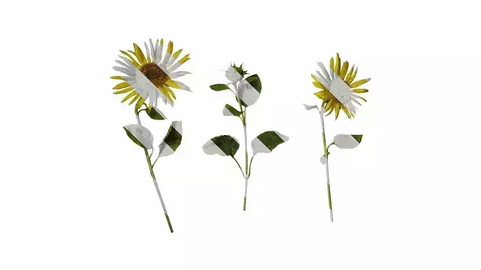 Anydrafts Helianthus annuus Atlas 27