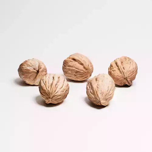 Walnuts Set 01
