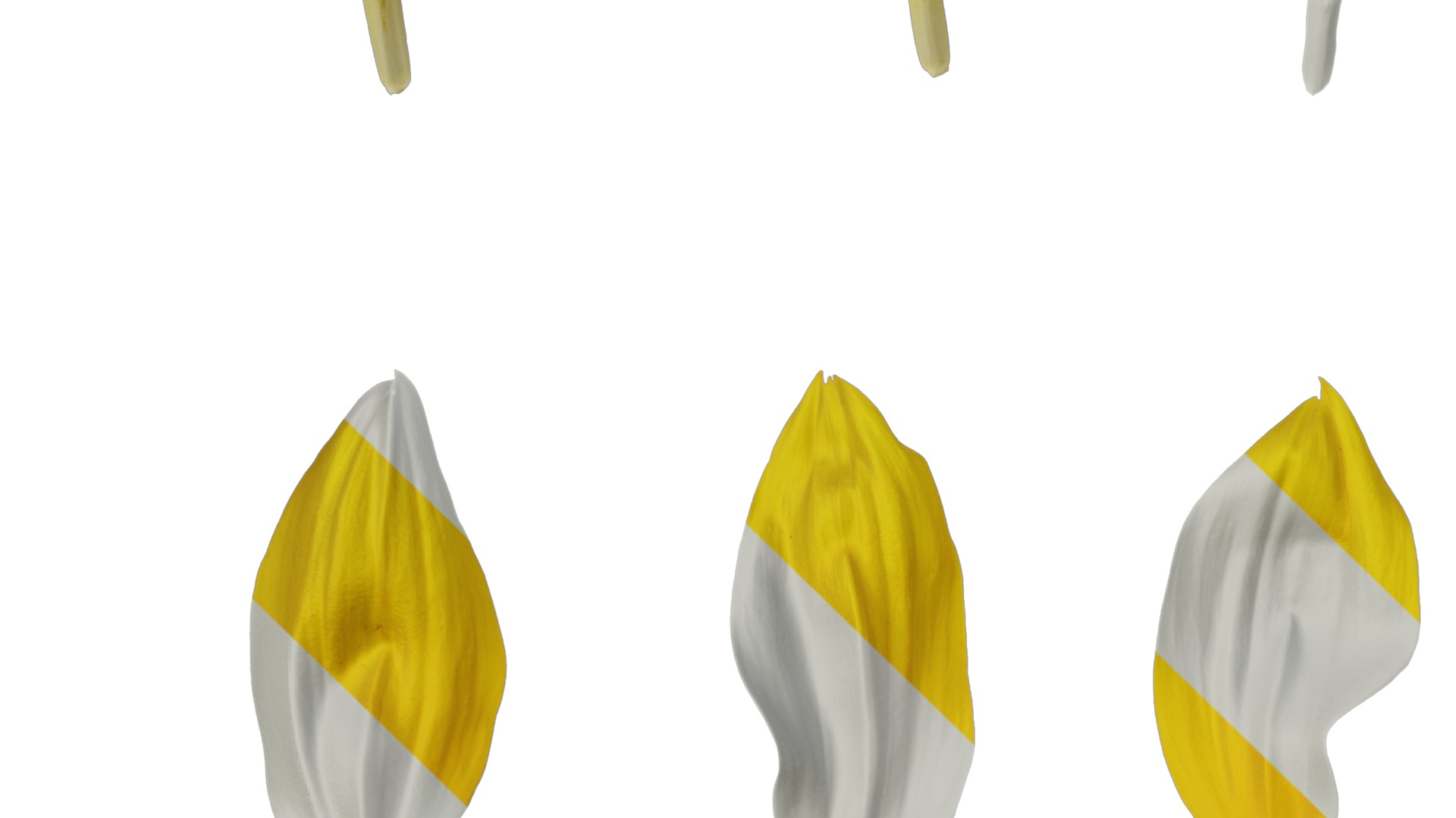 Anydrafts Helianthus annuus Flower 13 Texture_3