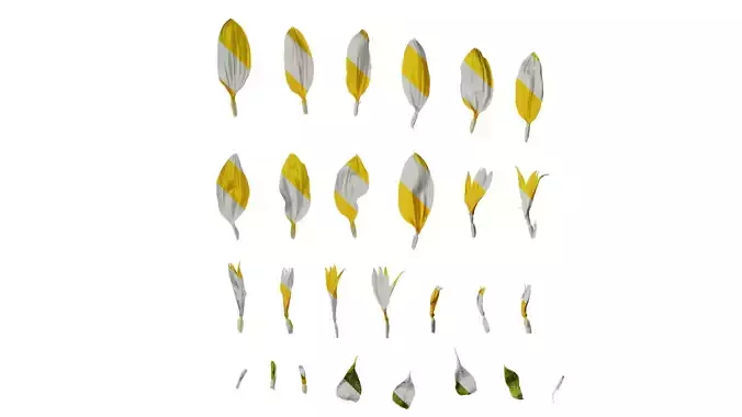 Anydrafts Helianthus annuus Flower 13