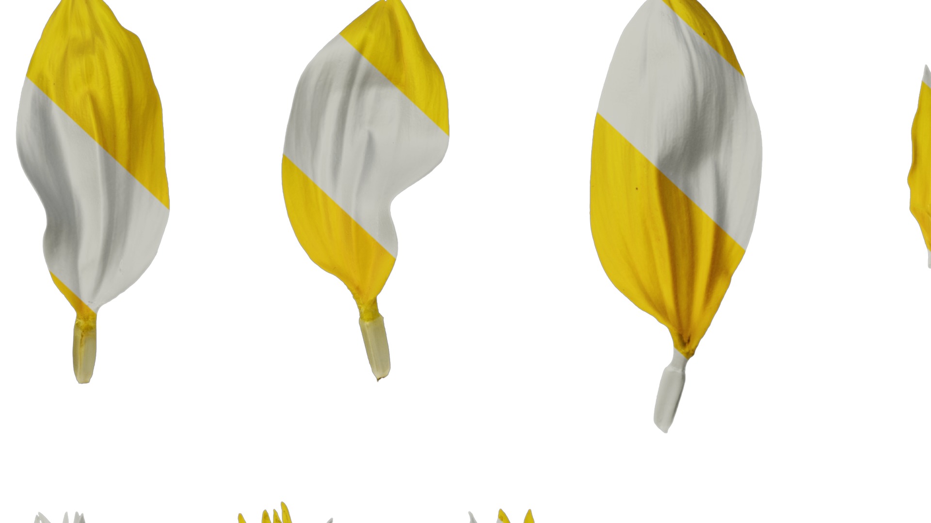 Anydrafts Helianthus annuus Flower 13 Texture_7