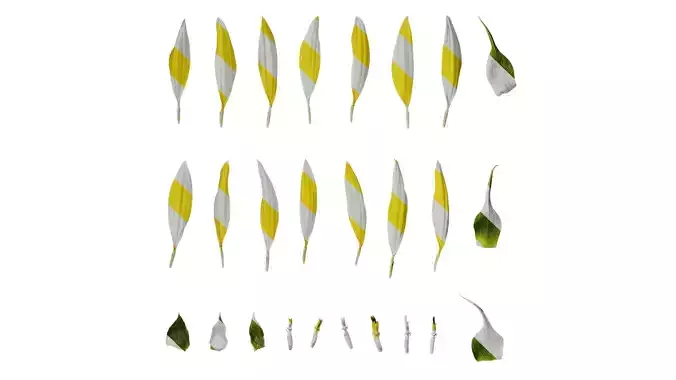 Anydrafts Helianthus annuus Flower 15