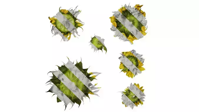 Anydrafts Helianthus annuus Flower 18