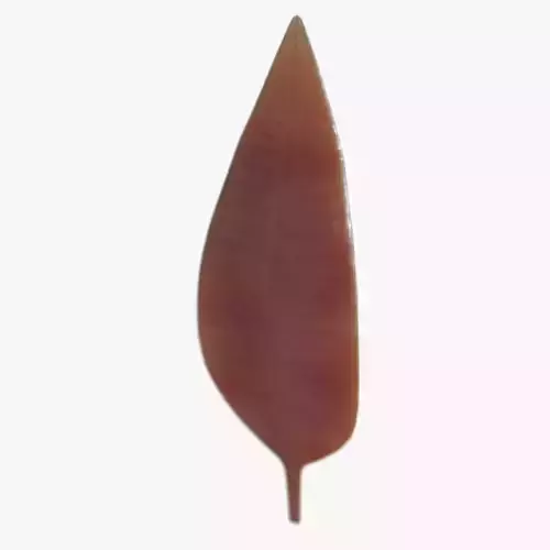 Charniodiscus Low-poly 3D model