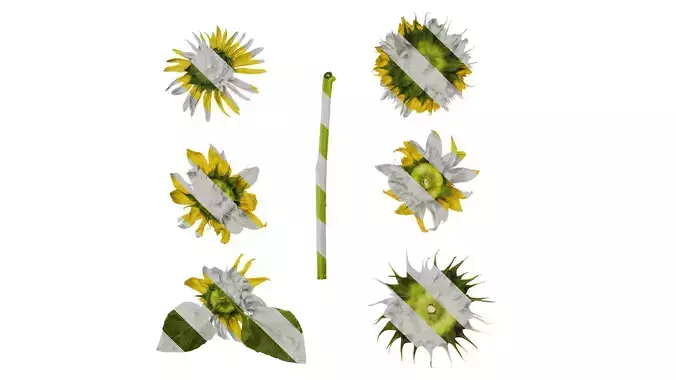 Anydrafts Helianthus annuus Flower 19