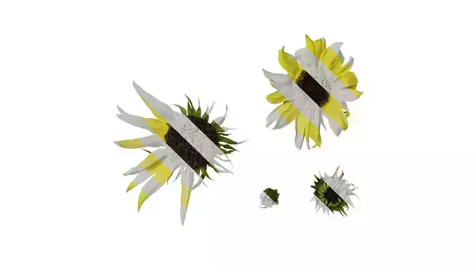 Anydrafts Helianthus annuus 01 Flower 01