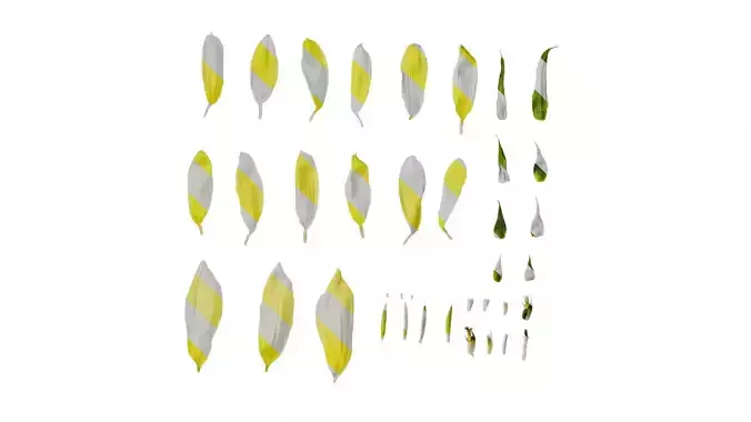 Anydrafts Helianthus annuus 01 Flower 02