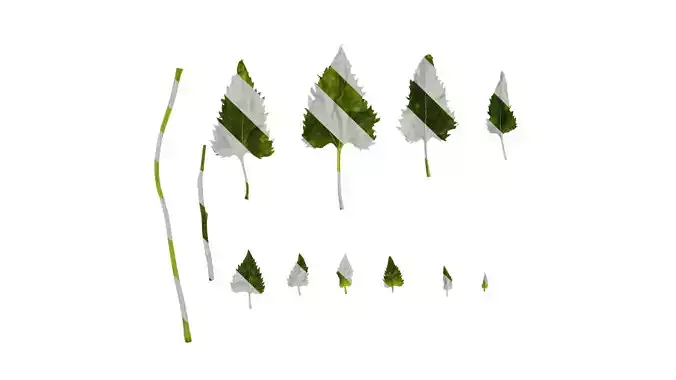 Anydrafts Helianthus annuus 01 Leaf 01