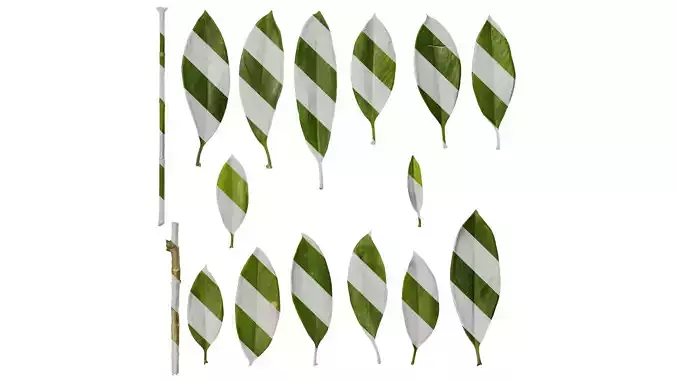 Anydrafts Fagraea ceilanica Leaf 01