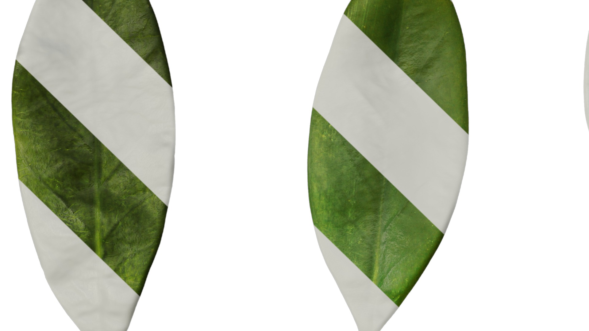 Anydrafts Fagraea ceilanica Leaf 02 Texture_1