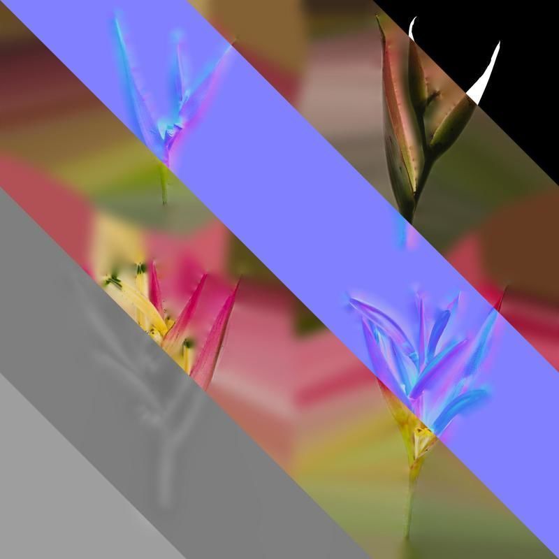 Anydrafts Heliconia metallica Flower 01 Texture_8