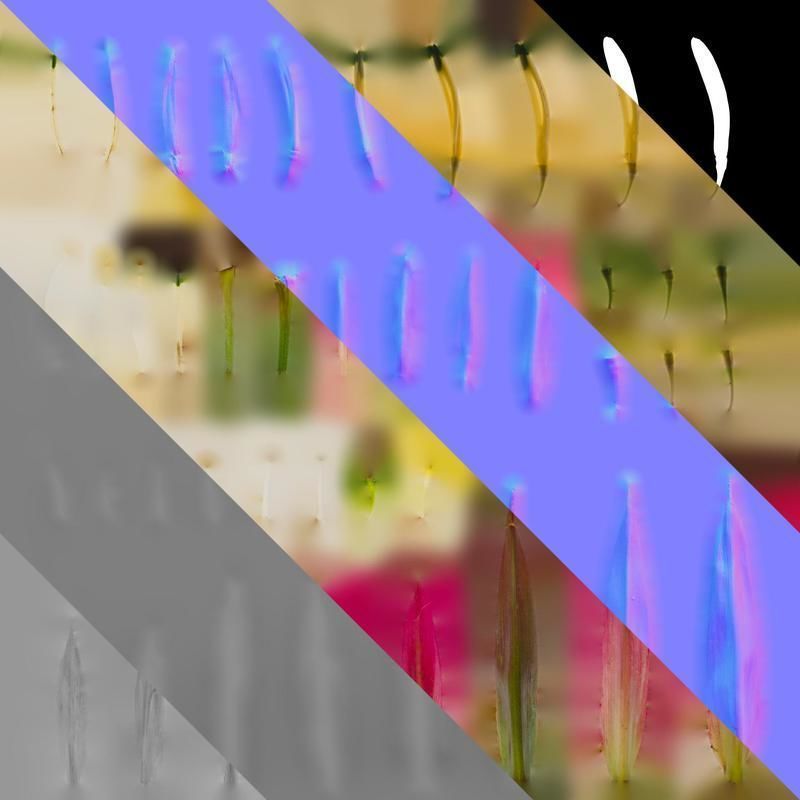 Anydrafts Heliconia metallica Flower 03 Texture_8