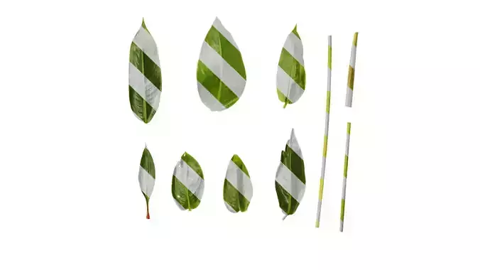 Anydrafts Heliconia metallica Leaf 02