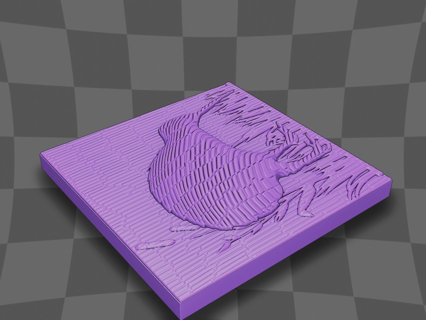 The Kiwi bird go in the lake 3D print model_5