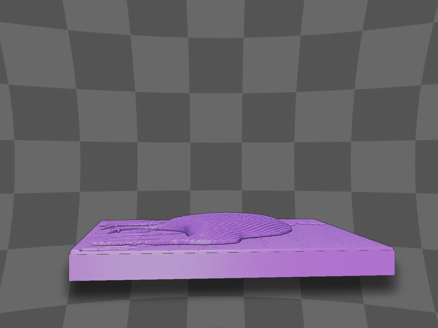 The Kiwi bird go in the lake 3D print model_9