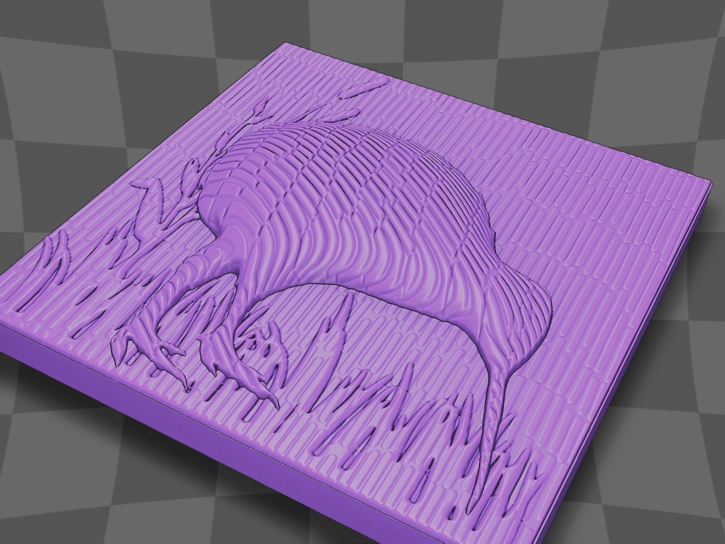 The Kiwi bird go in the lake 3D print model_6