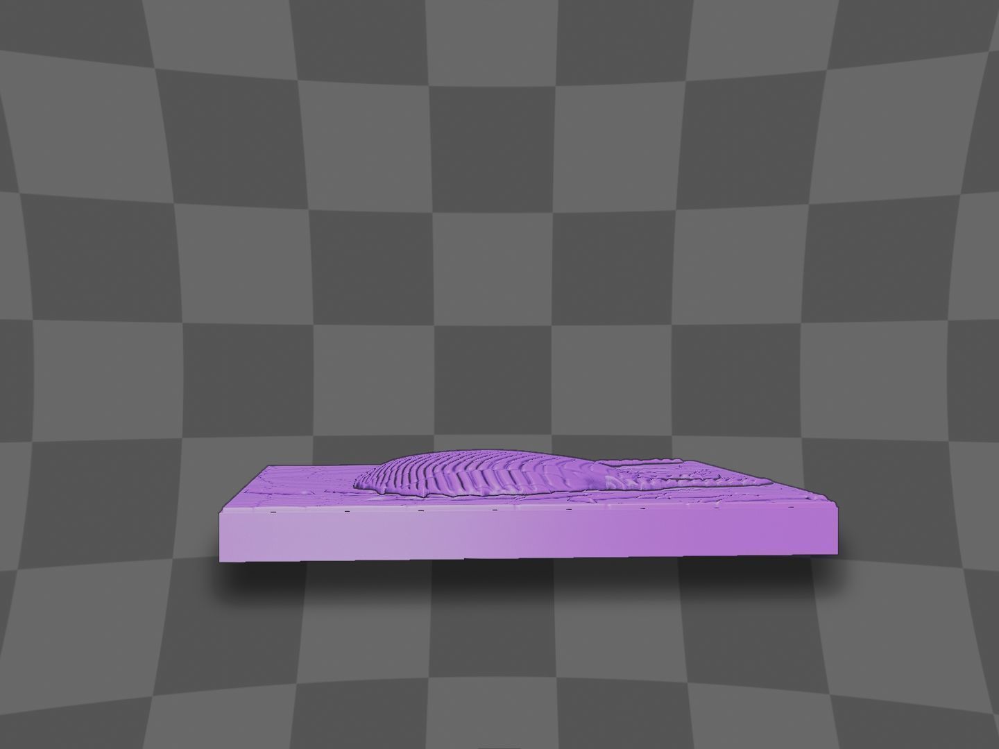 The Kiwi bird go in the lake 3D print model_10